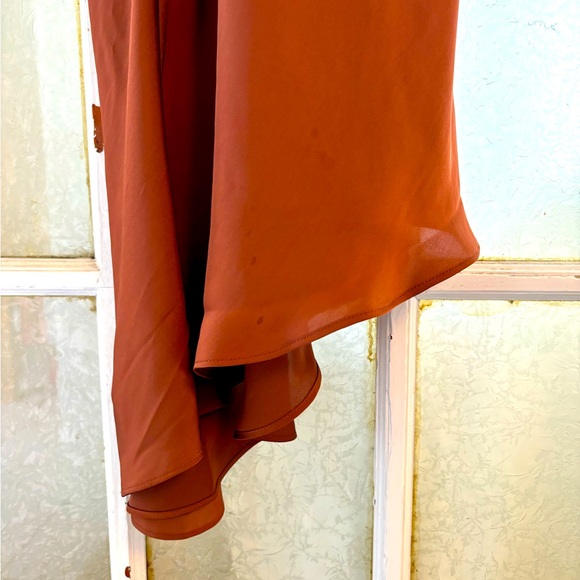 ALL SAINTS bronze midi slip dress - Picture 4 of 4